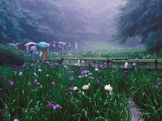 aoyama_19910620-4.jpg