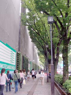 aoyama_20050603-5.jpg