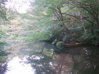 aoyama_20051012-4.jpg