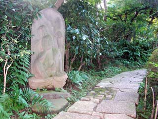 aoyama_20051012-5.jpg