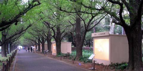 aoyama_20060423-1.jpg