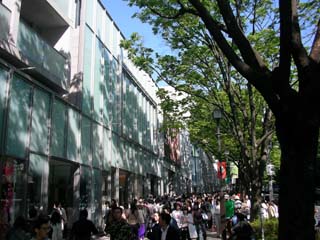 aoyama_20060503-3.jpg