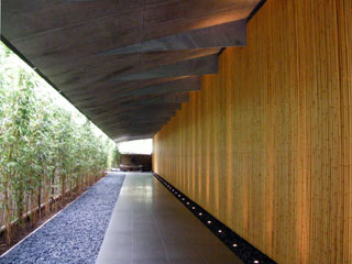 aoyama_20091005-02.jpg