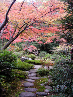 aoyama_20101123-03.jpg