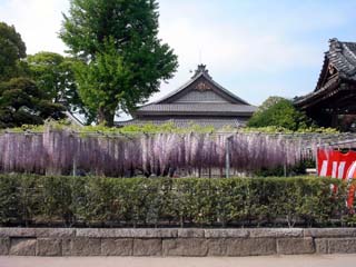 ashikaga_20070503-2.jpg