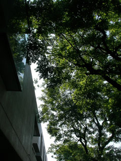 daikanyama_20070620-1.jpg