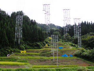 echigotsumari_20090830-12.jpg