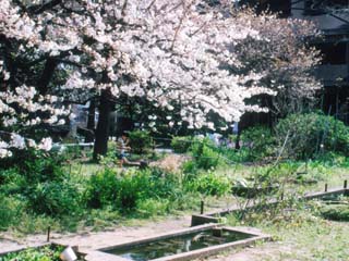 edogawa_19910405-02.jpg