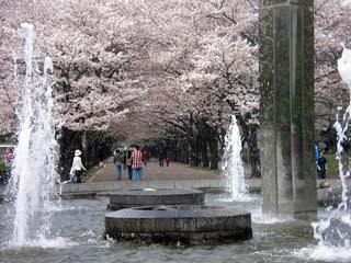 fuchu_20070407-1.jpg