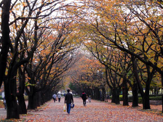 fuchu_20101121-1.jpg