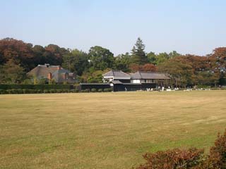 hananoi_20051105-1.jpg