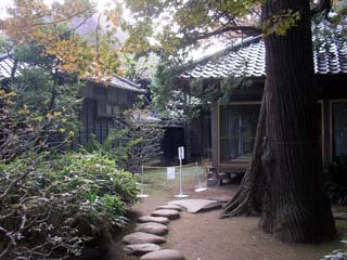 hananoi_20051105-5.jpg