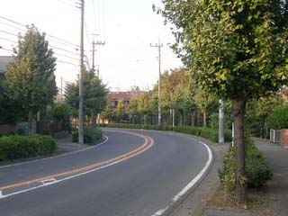 hananoi_20051105-6.jpg