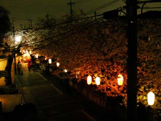 ichikawa_20070401-2.jpg