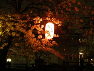 ichikawa_20070401-3.jpg