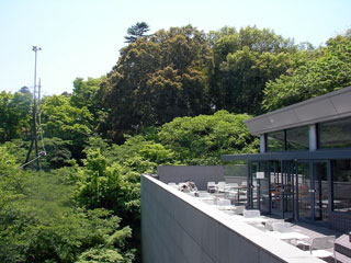 kasama_20080506-1.jpg