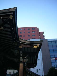 kashiwa_20060105-1.jpg