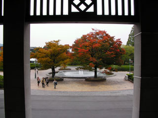 kyoto_20081103-5.jpg