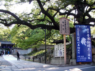 kyoto_20091013-01.jpg