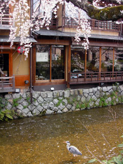 kyoto_20100328-01.jpg