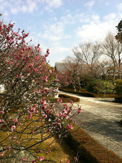 kyoto_20110319-01.jpg