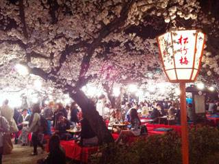 kyoto_20110407-05.jpg