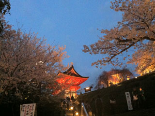 kyoto_20130331-11.jpg