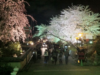 kyoto_20130331-14.jpg