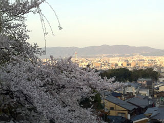 kyoto_20130401-01.jpg