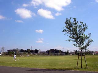 masuo_20051001-1.jpg