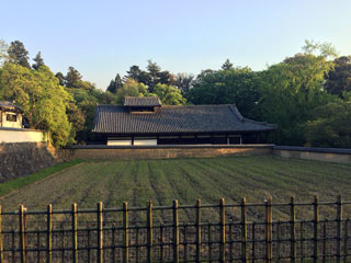 nara_20170501-08.jpg