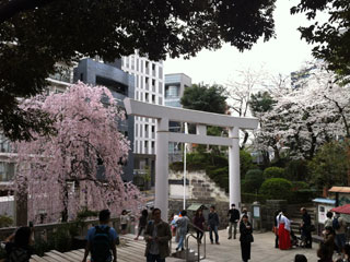 nogizaka_20130323-01.jpg