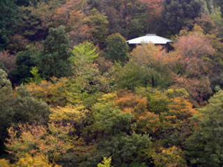 okazaki_20081102-3.jpg