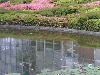 roppongi_20070531-1.jpg