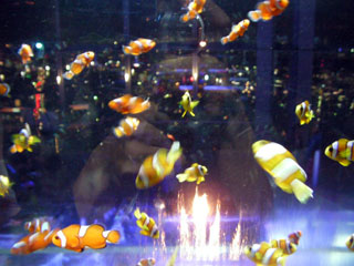 roppongi_20080826-1.jpg