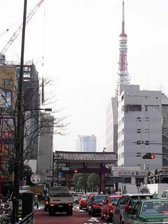 shiba_20070302-1.jpg