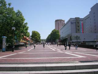 tama_20070526-2.jpg