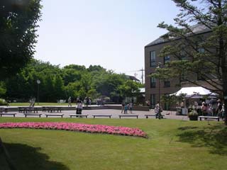 tama_20070526-3.jpg