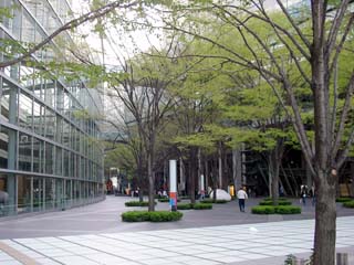 tokyo_20050407-6.jpg