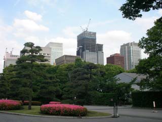 tokyo_20060604-1.jpg