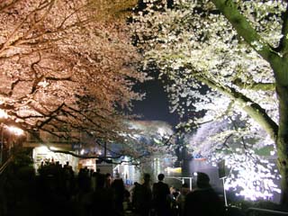 tokyo_20070329-2.jpg