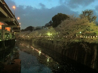 tokyo_20130328-01.jpg