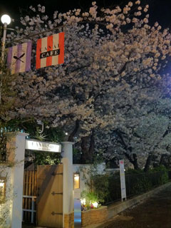 tokyo_20130328-02.jpg