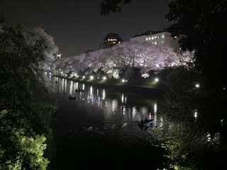 tokyo_20130328-03.jpg