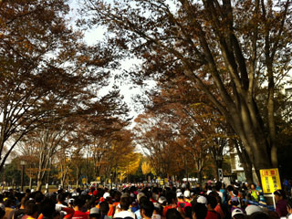 tsukuba_20111127-1.jpg