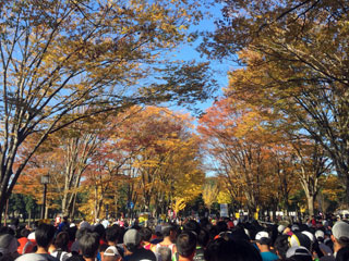 tsukuba_20141123-01.jpg