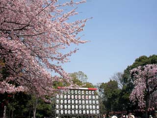 ueno_20060321-1.jpg