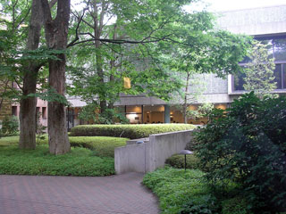 ueno_20070721-5.jpg