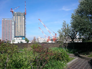 ueno_20070917-1.jpg