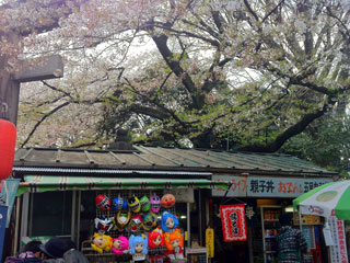 ueno_20140405-03.jpg